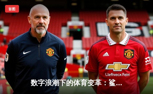 数字浪潮下的体育变革：鲨鱼直播如何重塑观赛体验与产业格局